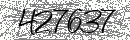 Spam Verification Code